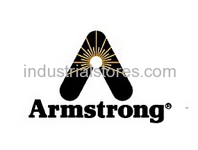 Armstrong International C1360-2 Manifold 9000 Series 1-1/2-ft