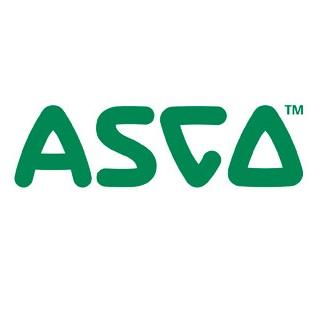 Asco 264645-002 Air Muffler 1/4"