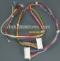 Carrier 311219-701 Wiring Harness